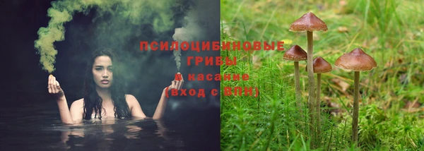 соль курить ск Гусев