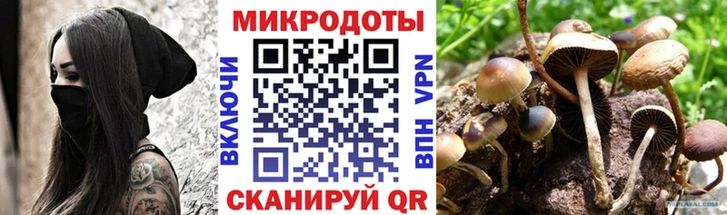 Галлюциногенные грибы ЛСД Конаково
